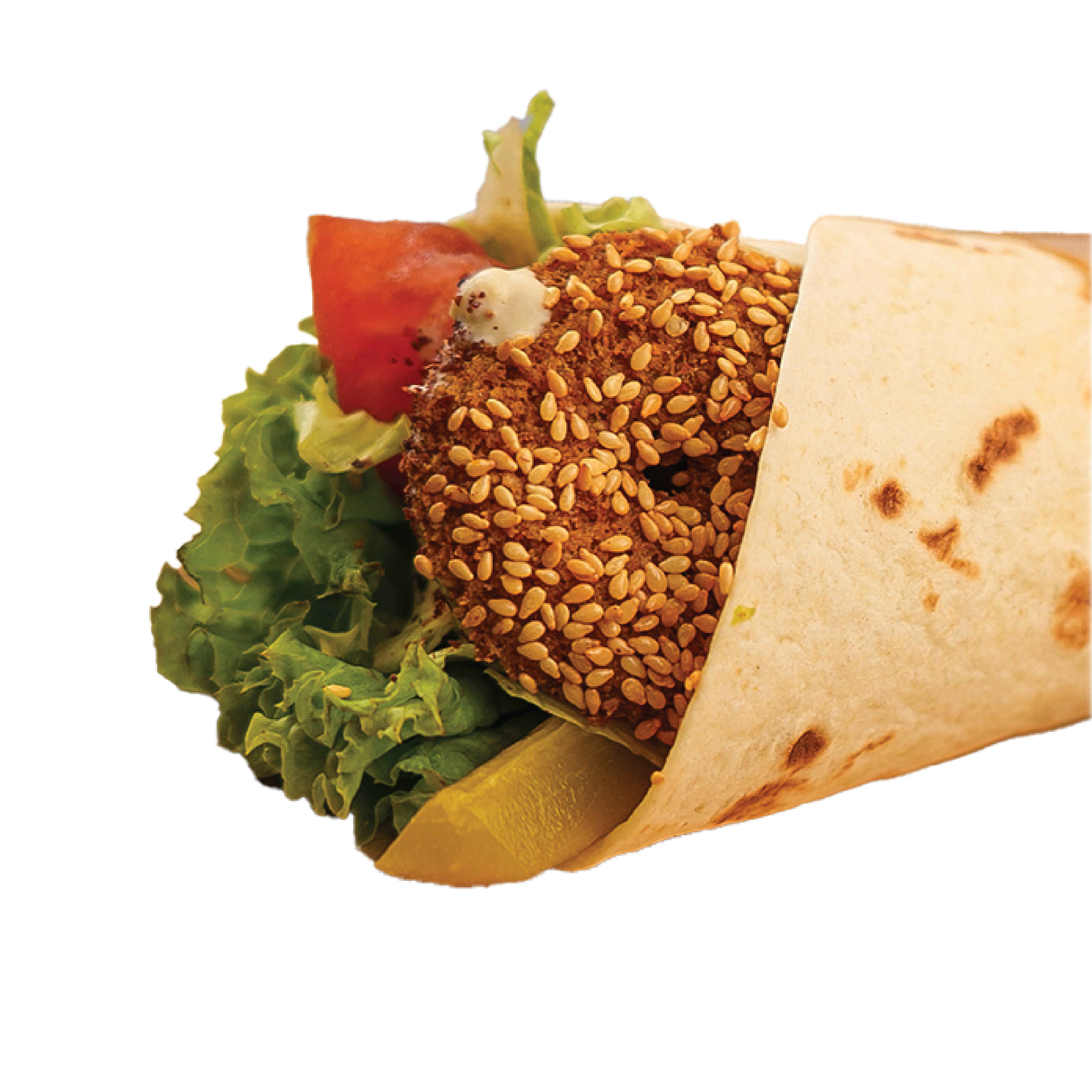 Falafel Albasha